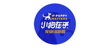 小狗在乎